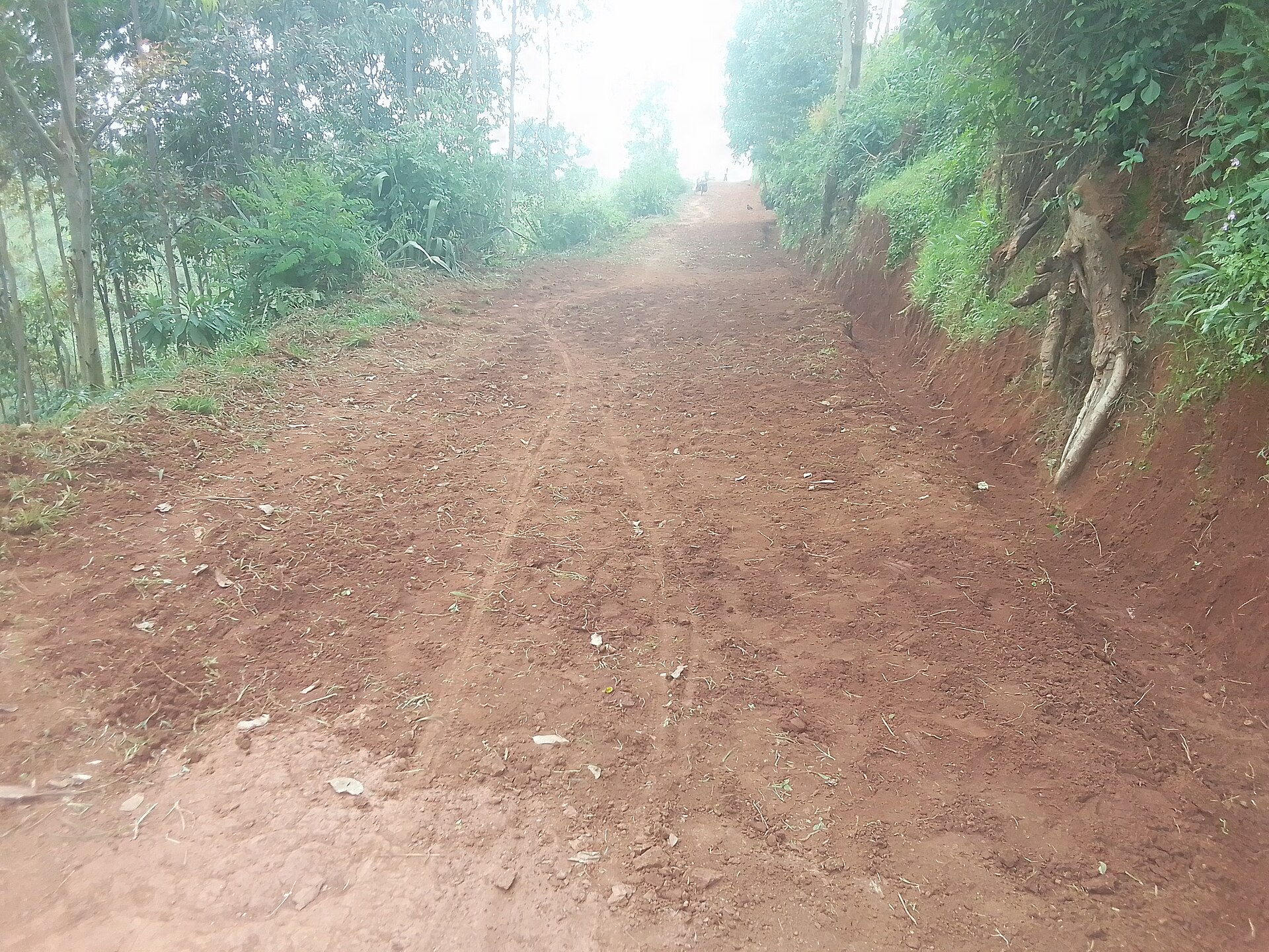 Chantier routier illustrant la sequence continue du procede d'application LL-TECH.