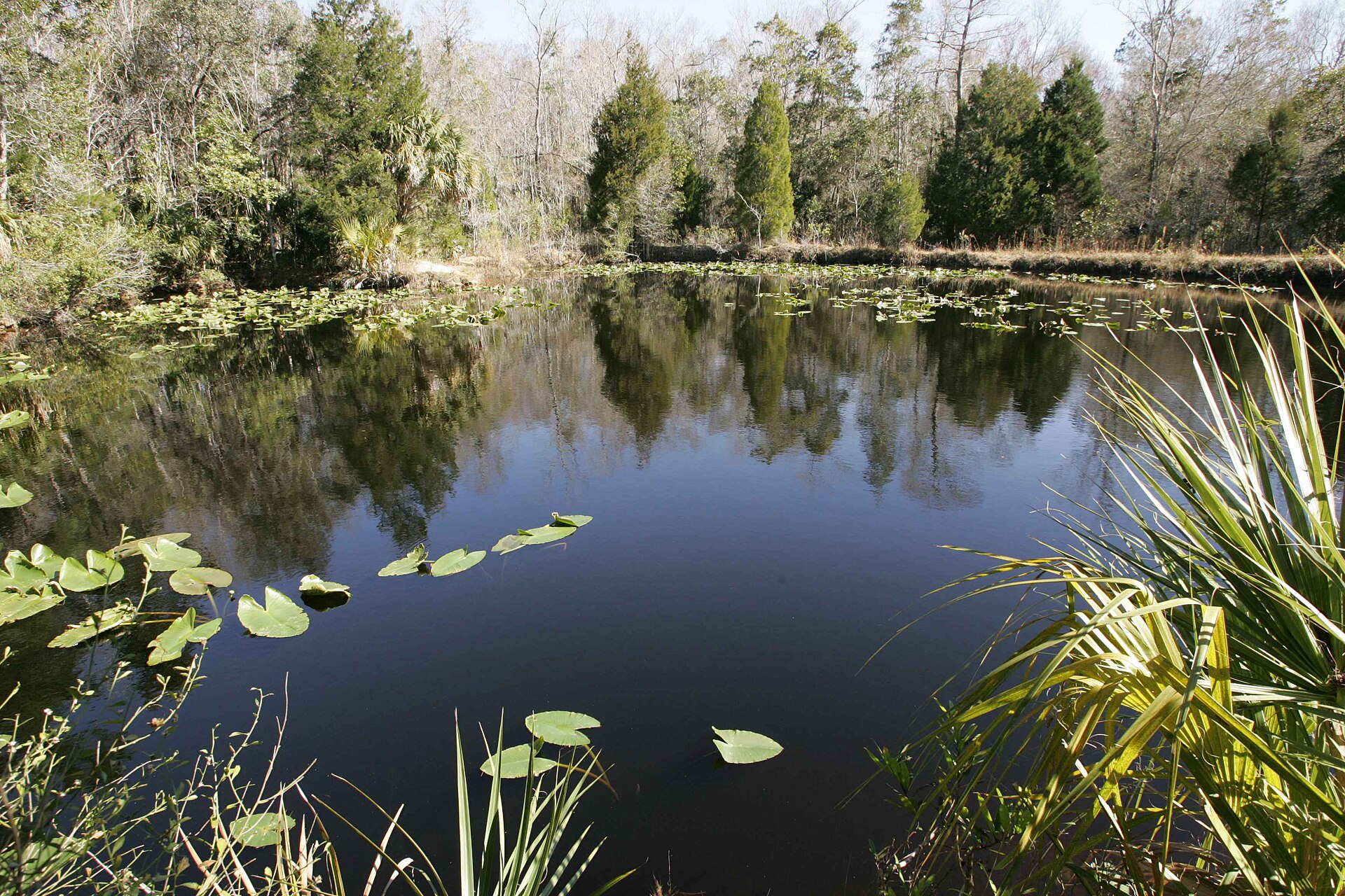 Milieu aquatique represente pour illustrer les validations environnementales et l'absence d'impact sur l'eau.